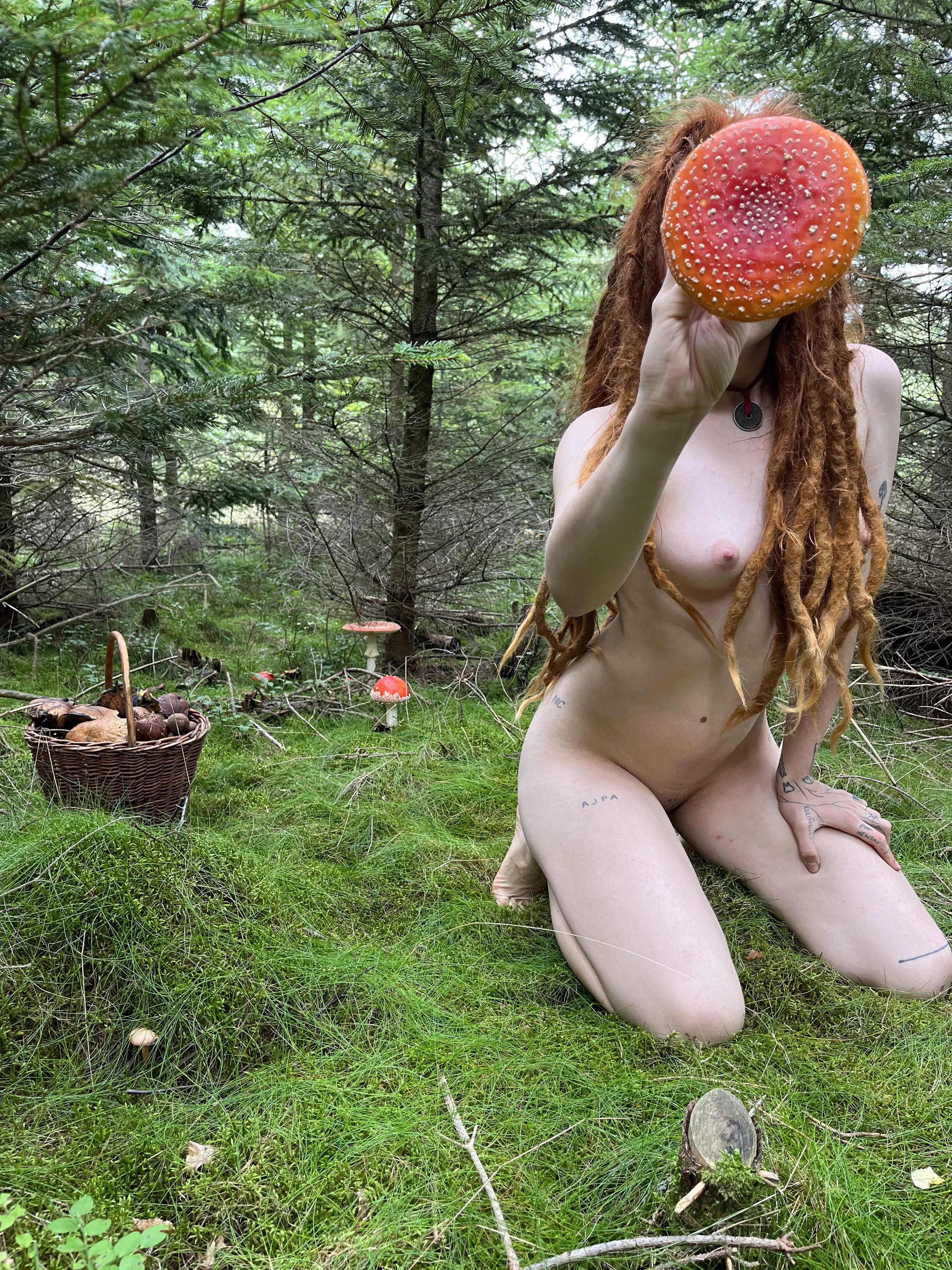 Lets pick some mushrooms