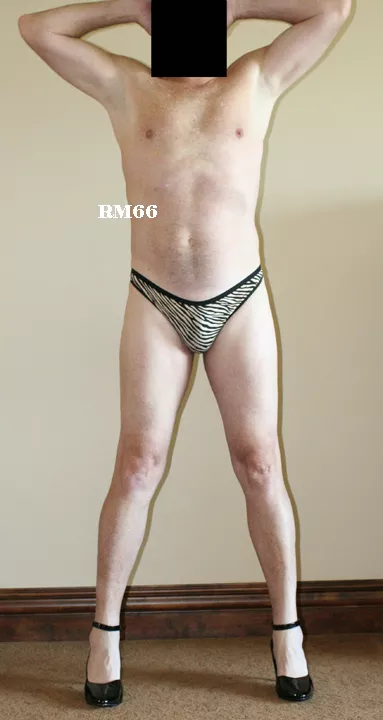 Maidenform signature cotton thong