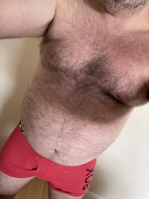 My contribution- 41 UK bear