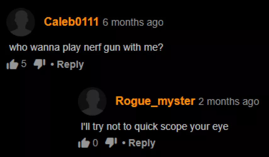 Nerf Gun Supremacy HaHa!