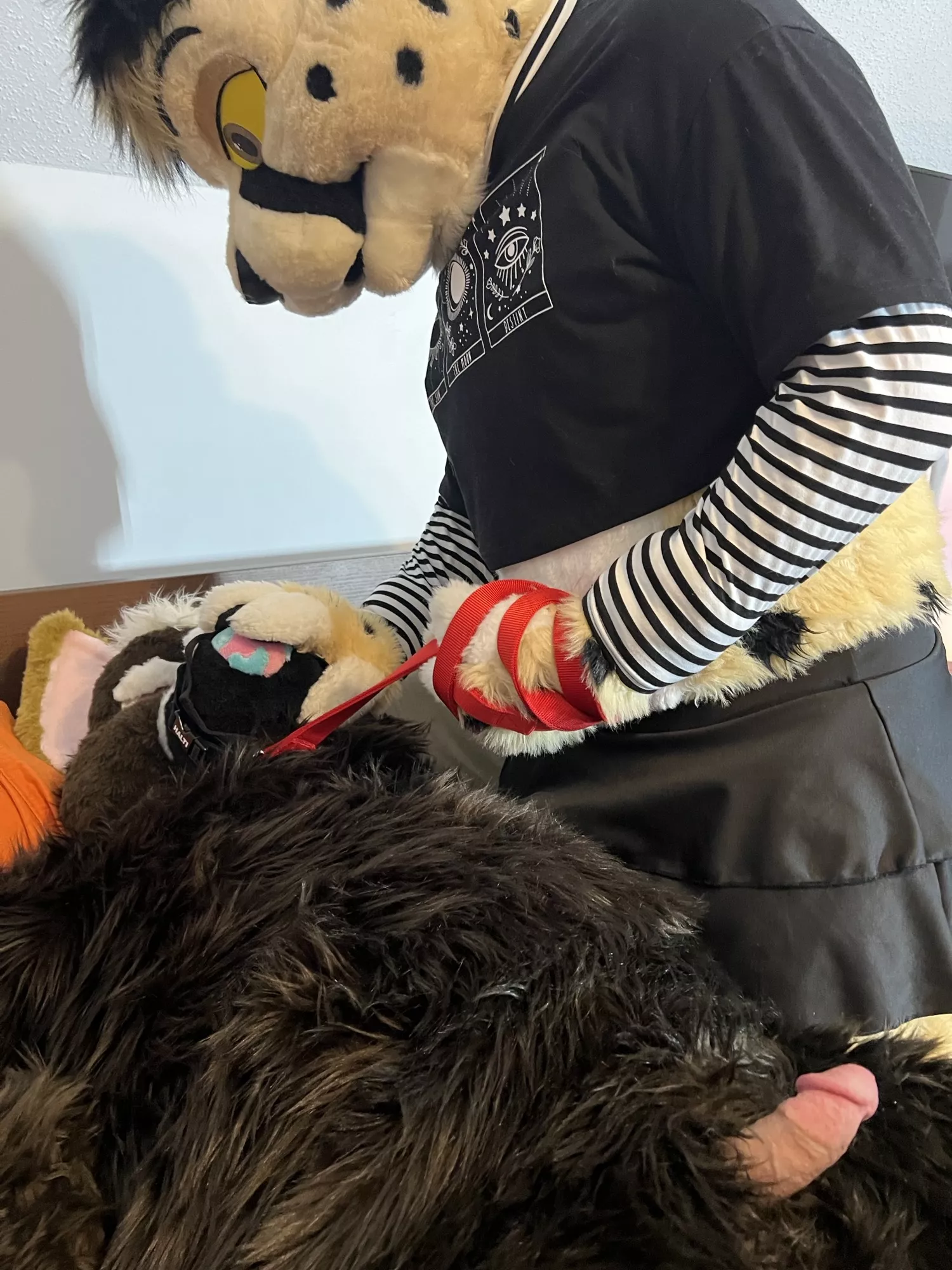 Sometimes even good dogs need a cat to show em who’s boss ;)