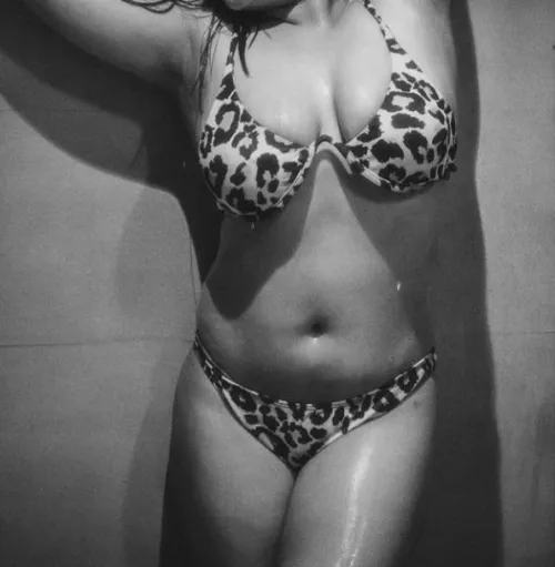 Your Cheetah.🐆(F)