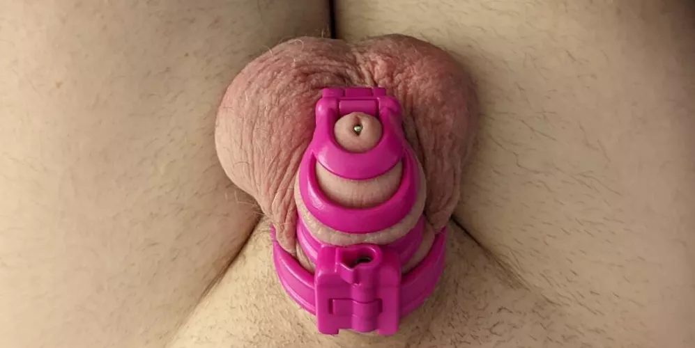 12 week release date cumming up this weekend.