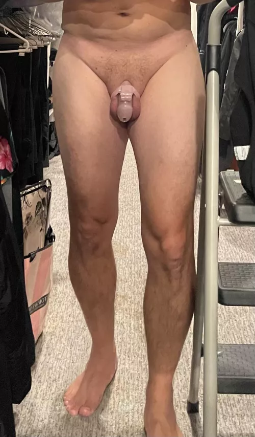 1st time in a cage! Tough to get on at first, but pretty comfortable now.. been about 30 mins and my wife has the keys!