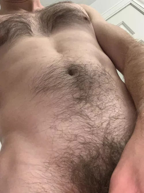 28M - bull in NE Wisconsin looking for some fun with a local hot wife