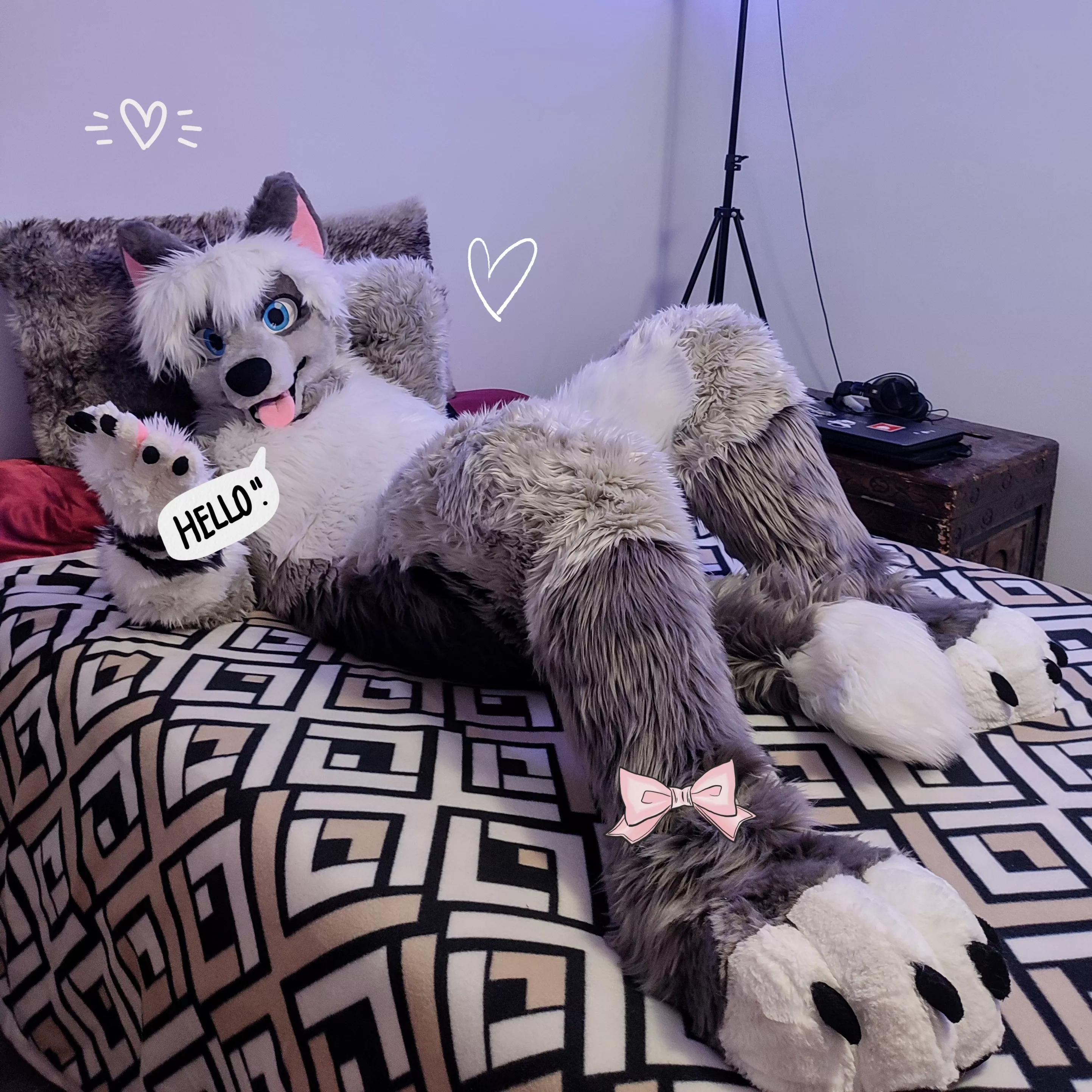 Doggo greets you 🐶