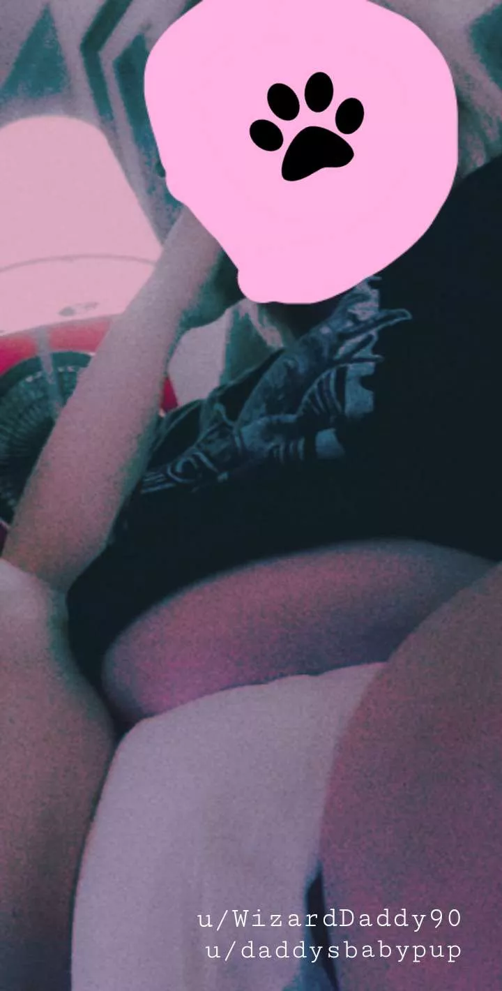 My beautiful little babypup is a little shy about her new undies.