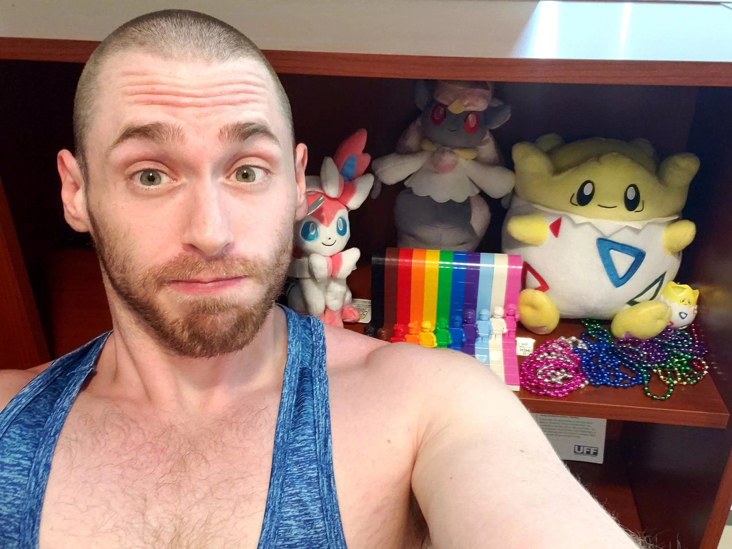 Pokemon collection for my new office! I research LGBT family formation, so only fairy types are allowed!