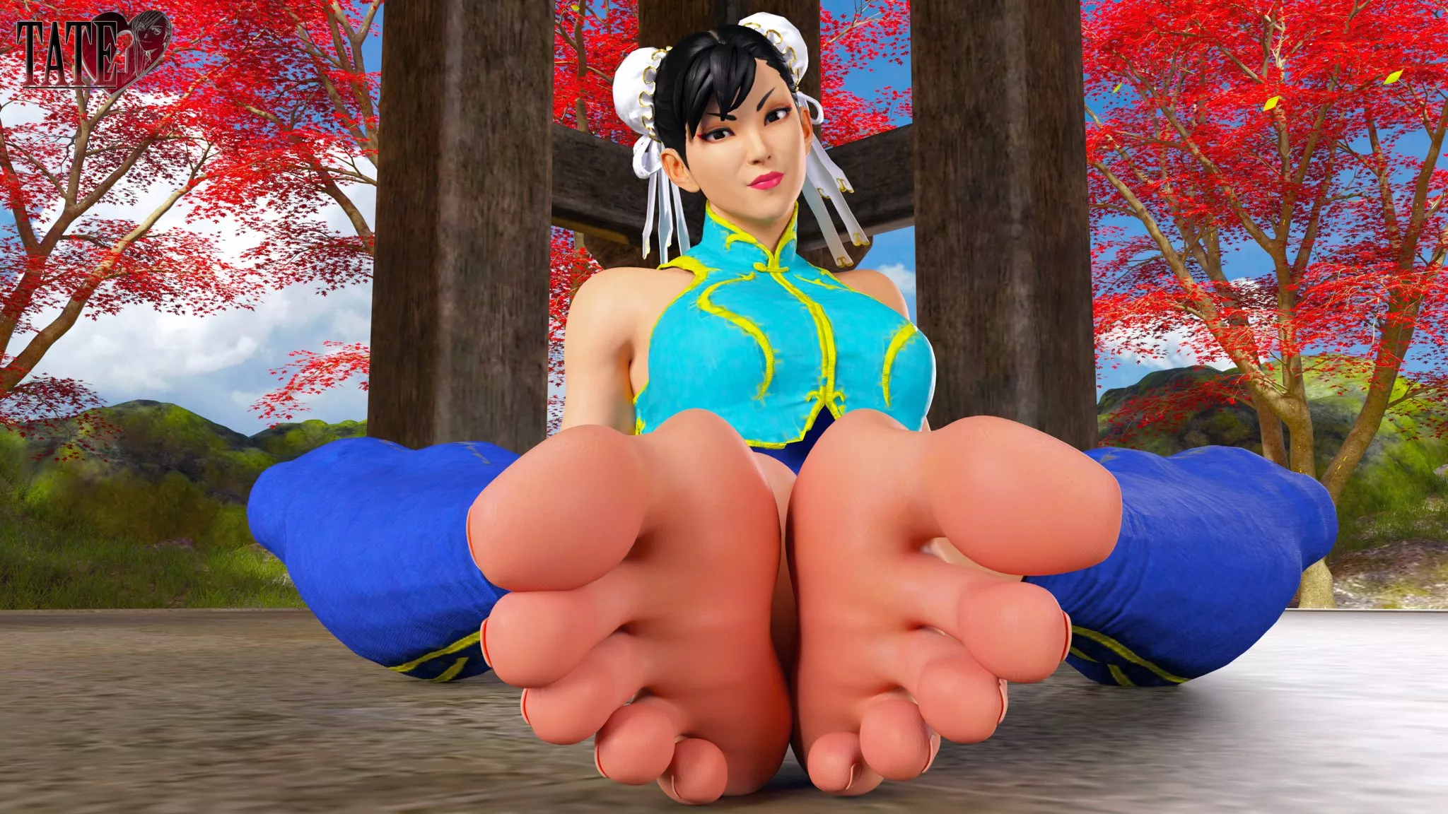 Chun-Li's Toes (Tate) [Street Fighter]