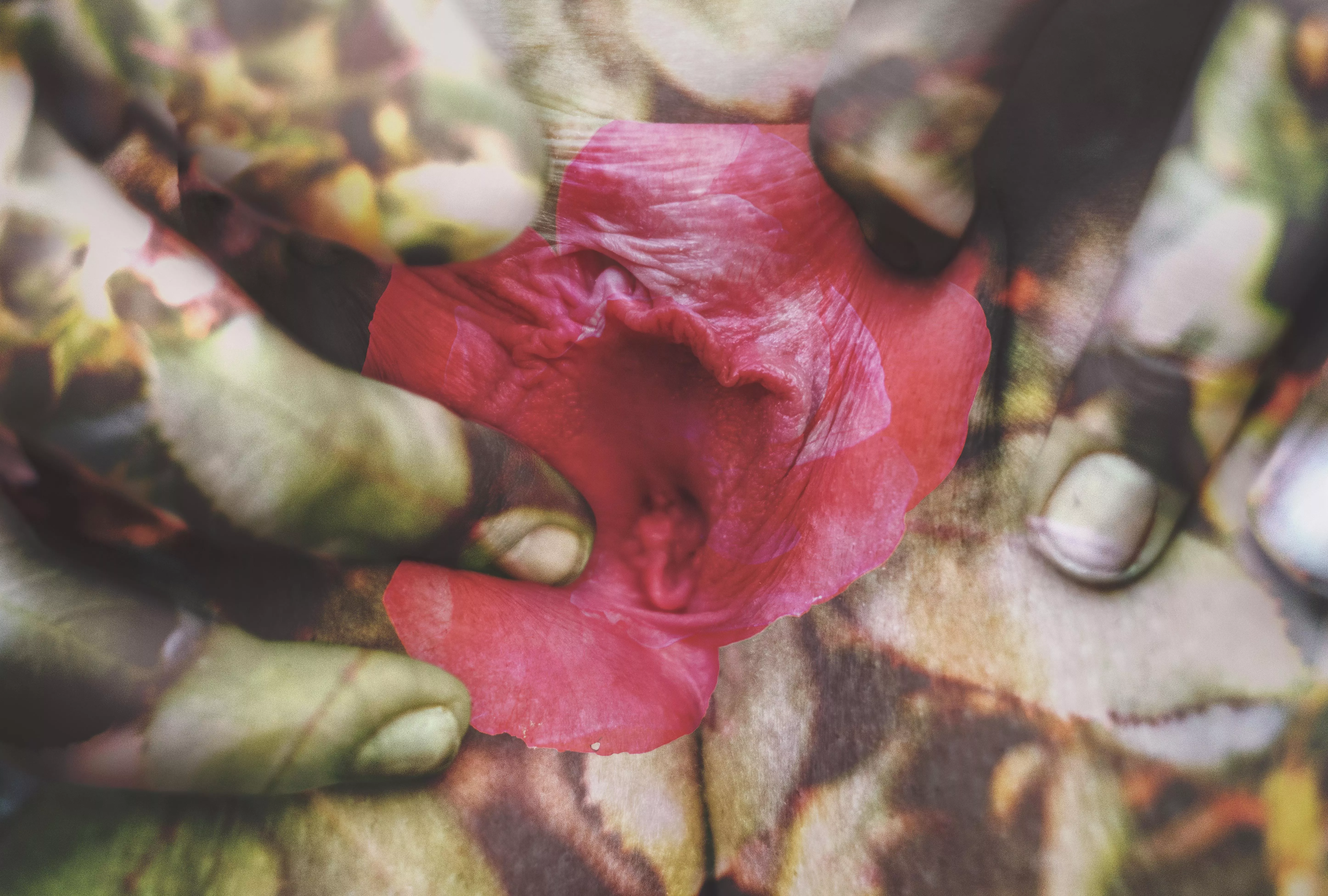 I blended two pictures I took: Em's vagina… and the flower bushes in my front yard