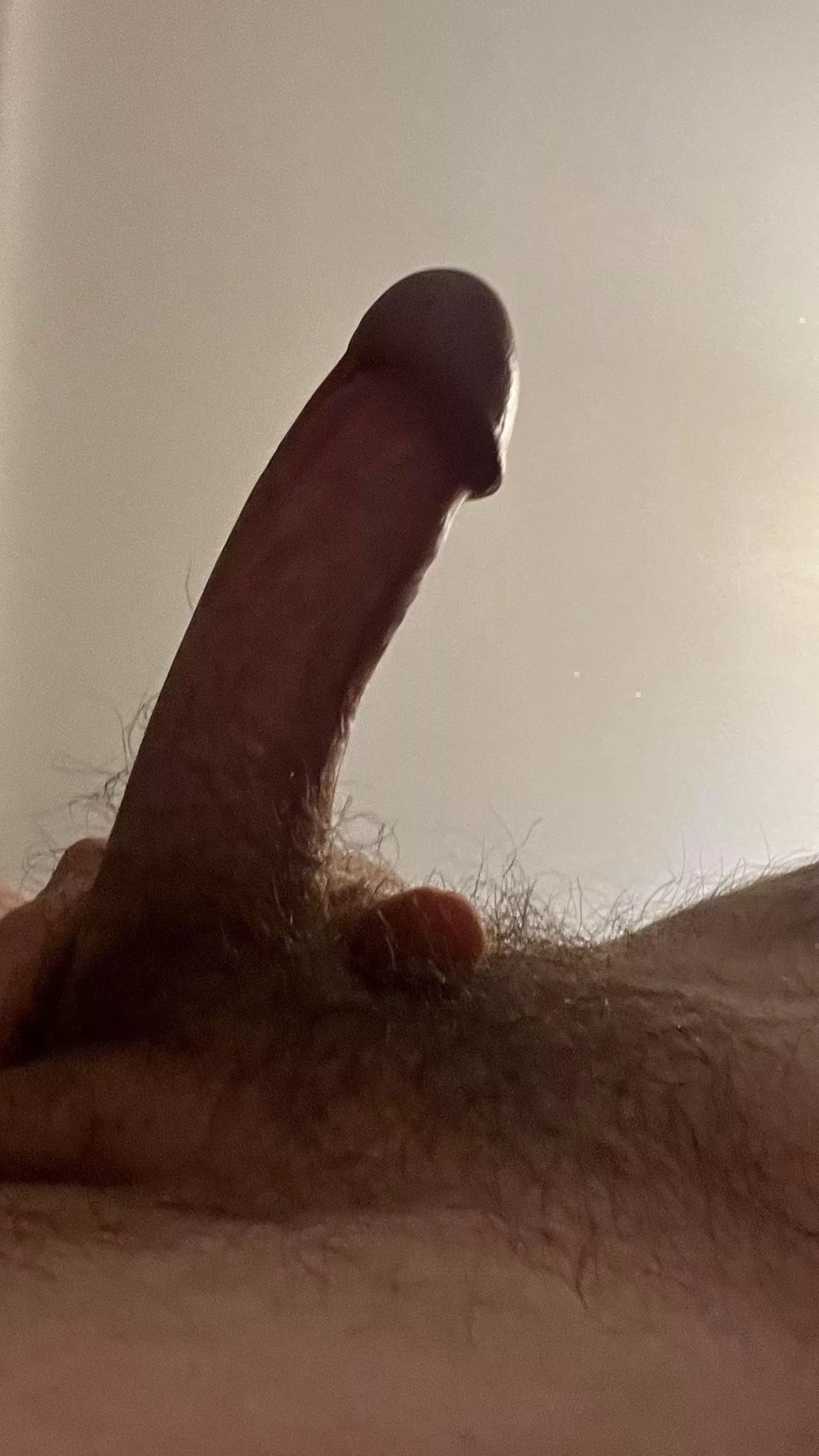 Looking for some female attention….!!