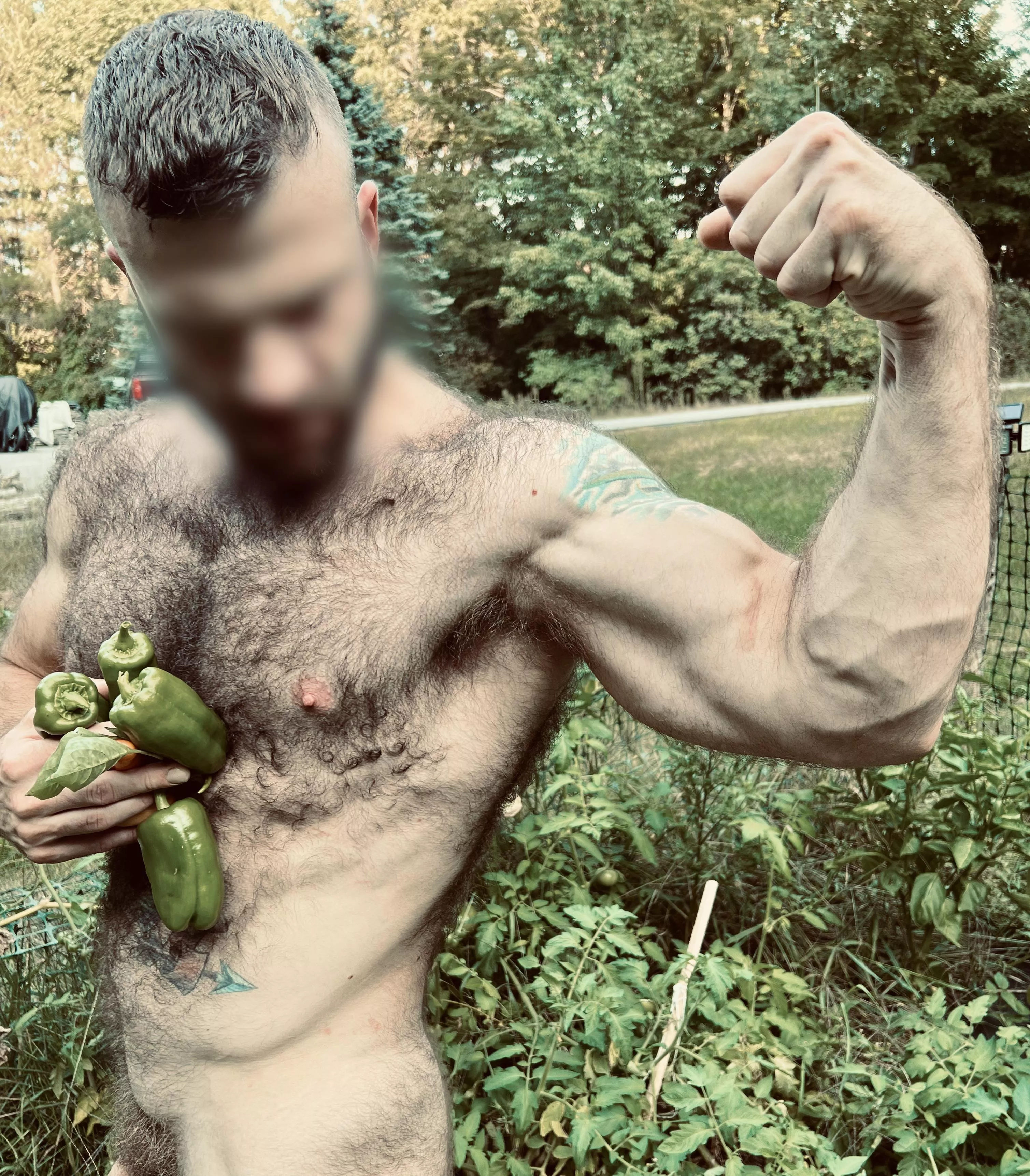 [M] Should I go back to the gym or continue harvesting the garden? 😉