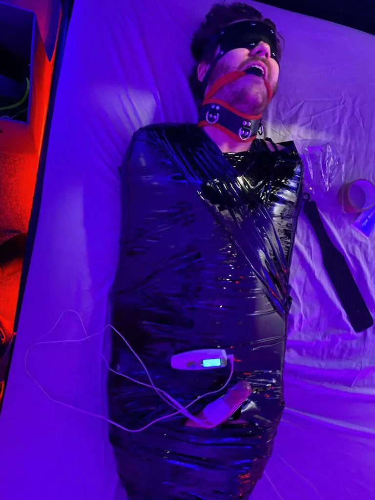 [M]ummified, plugged, collared, gagged, blindfolded, shocked