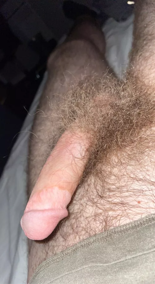 Otter cock at your service