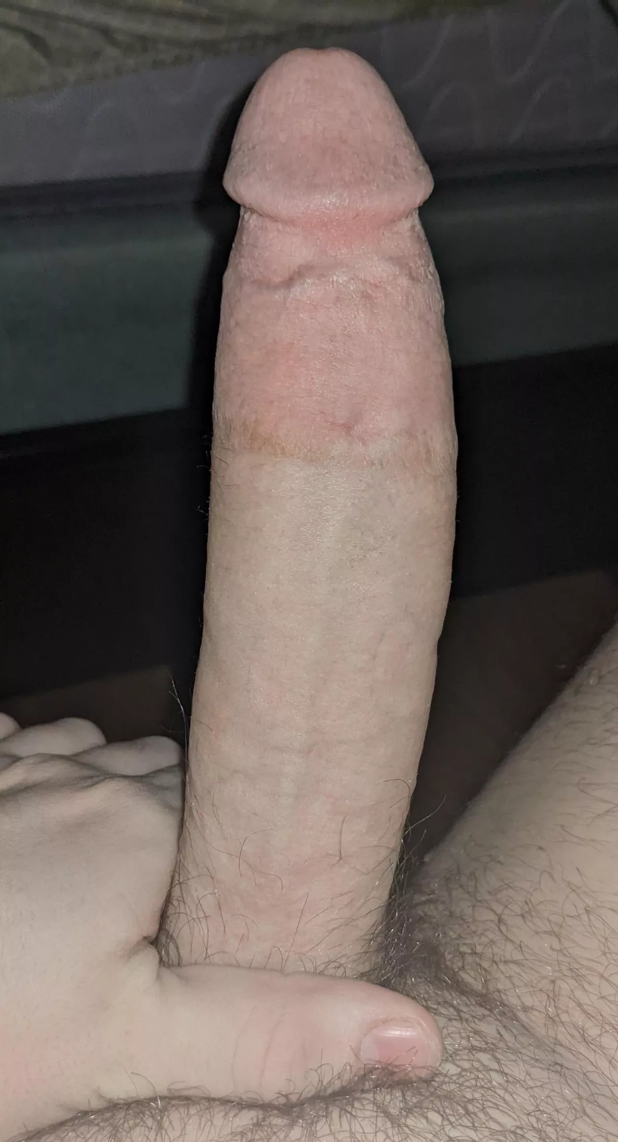 Would you ride this 8 inch cock? Honest rates appreciated