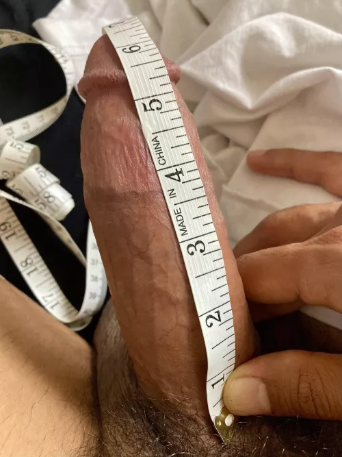 6.5” long? 🤷🏽‍♂️ [38]