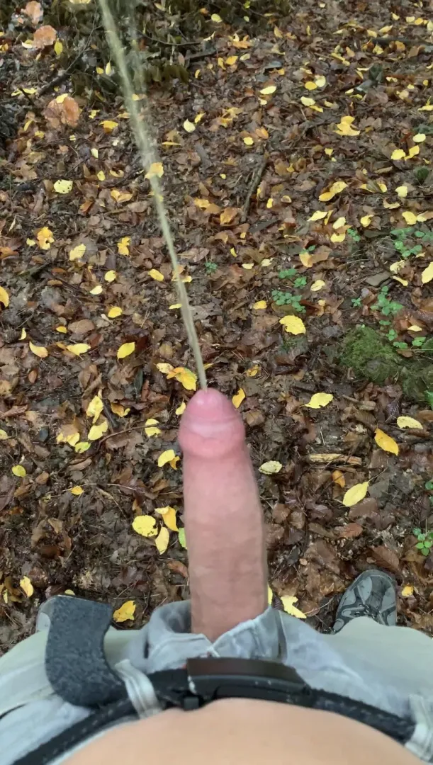 Any piss lovers here? Hmu in dms, please 18 to 35 max