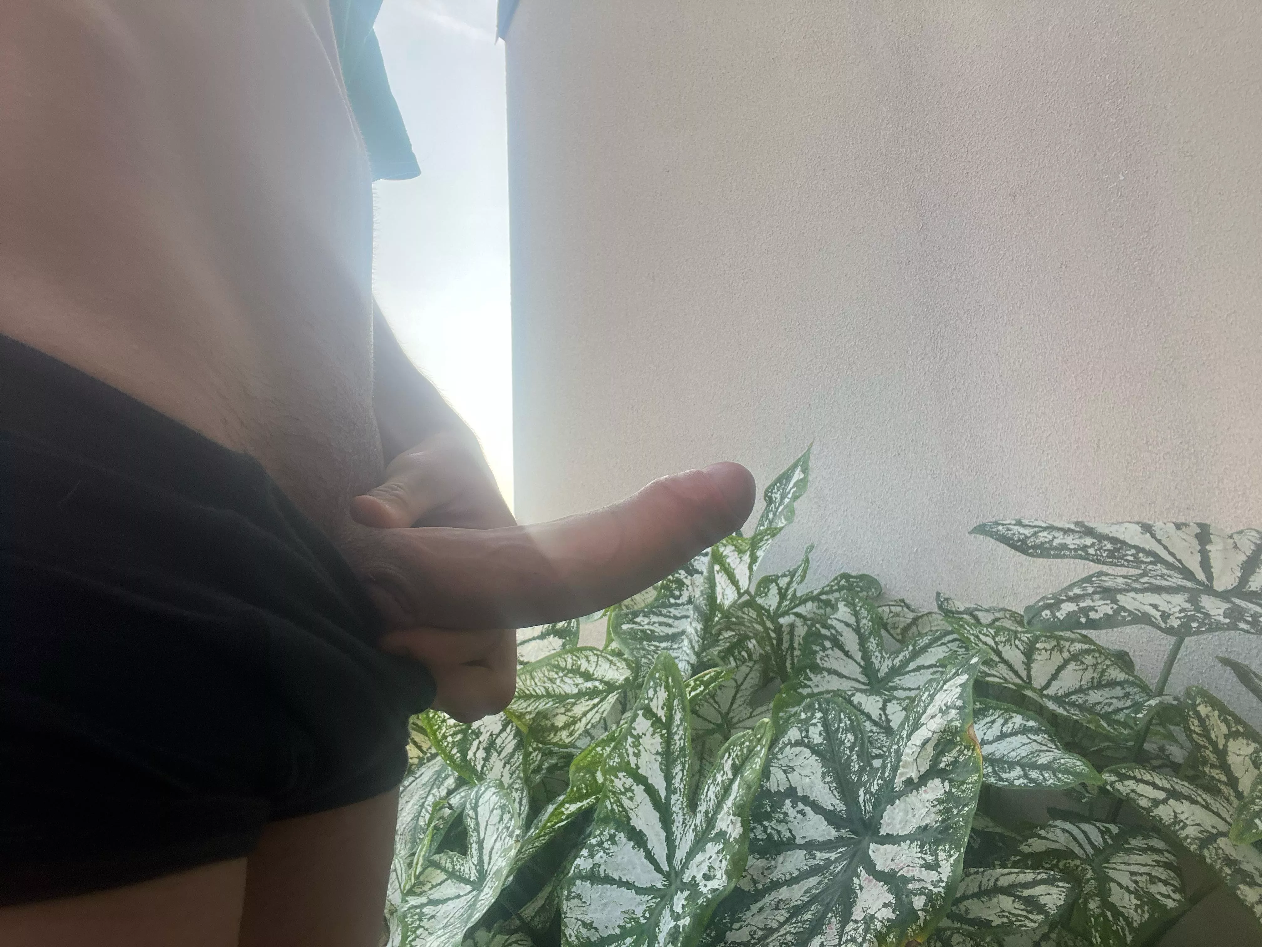 don’t you just love the breeze