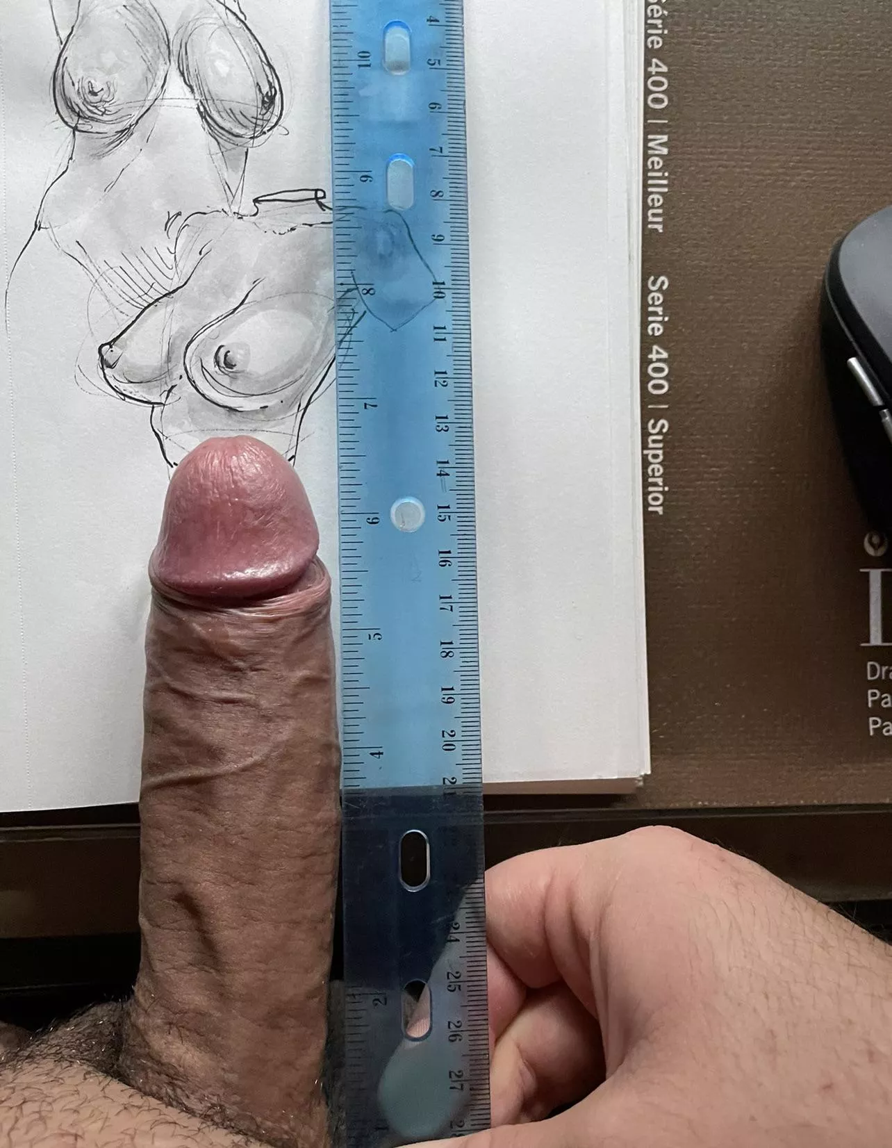 Here’s a ruler comparison. Took every inch I could lol