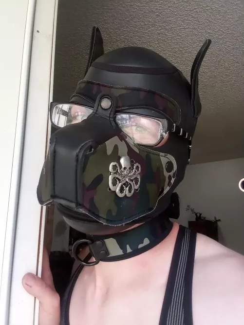 Kalli just wanted y'all to know, hail Hydra! ✊