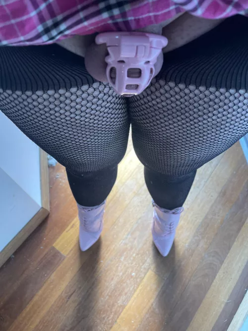 My new cage matches my new boots 👌🏻😍