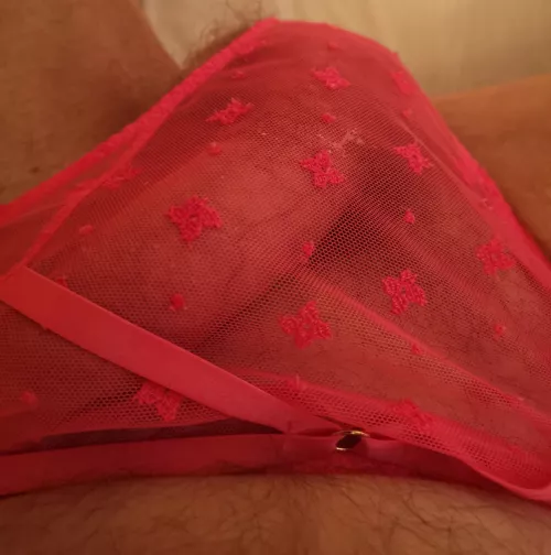 my panties keep me hard all day