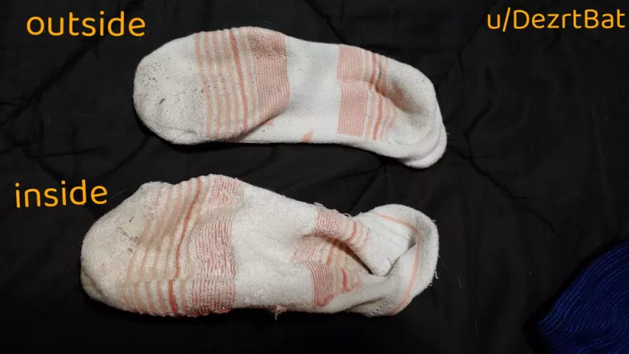 [selling] Sharp vinegary odored socks worn all day yesterday, including during a workout and long active work shift. Ready to ship!