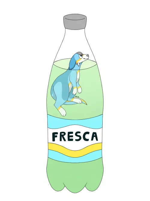 Sodaroo Goes For a Swim