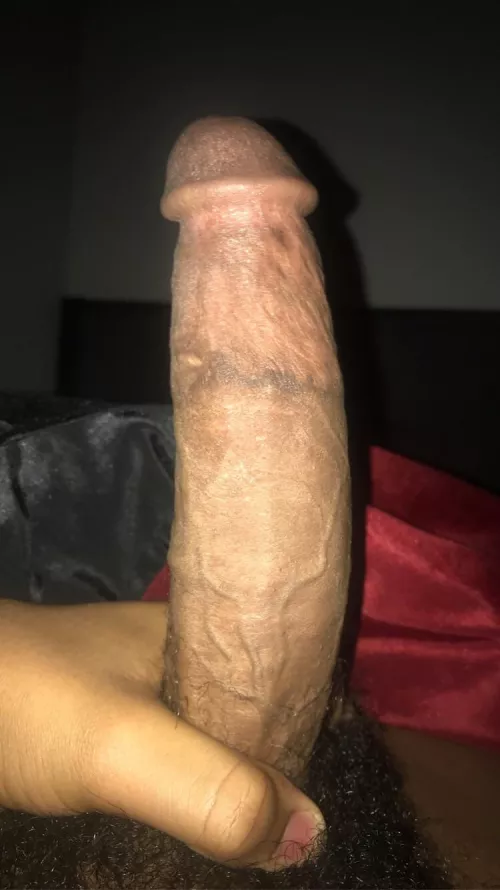 Anyone like mushrooms