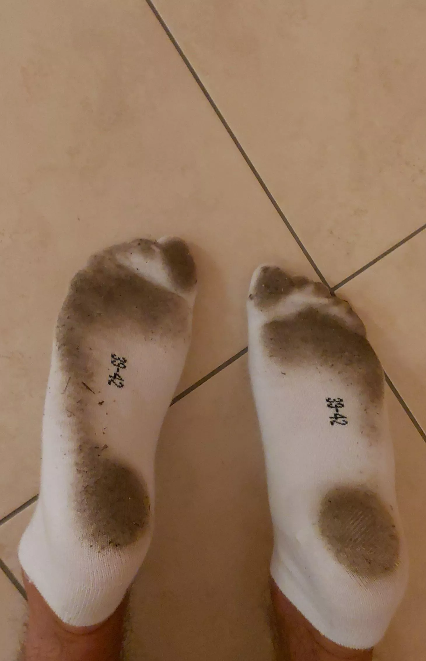 dirty socks