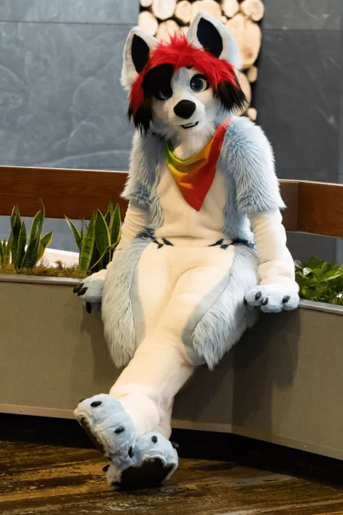 Woof! I'm Zaros! Nice to meet you all! c: