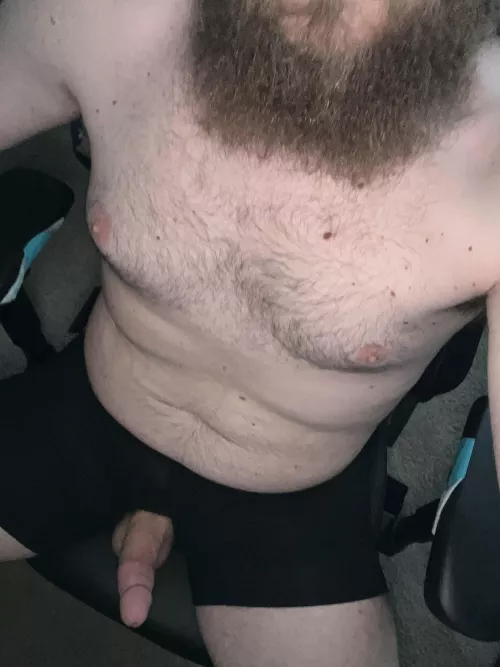 Bearded bear boner 🐻