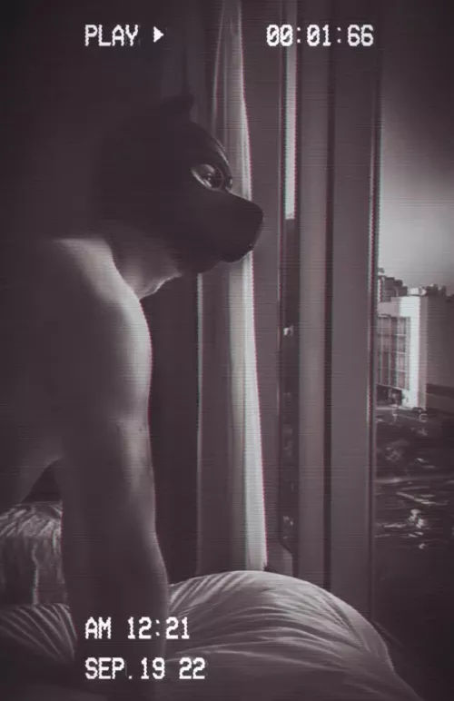 Come to my window. Crawl inside wait by the light of the moon.