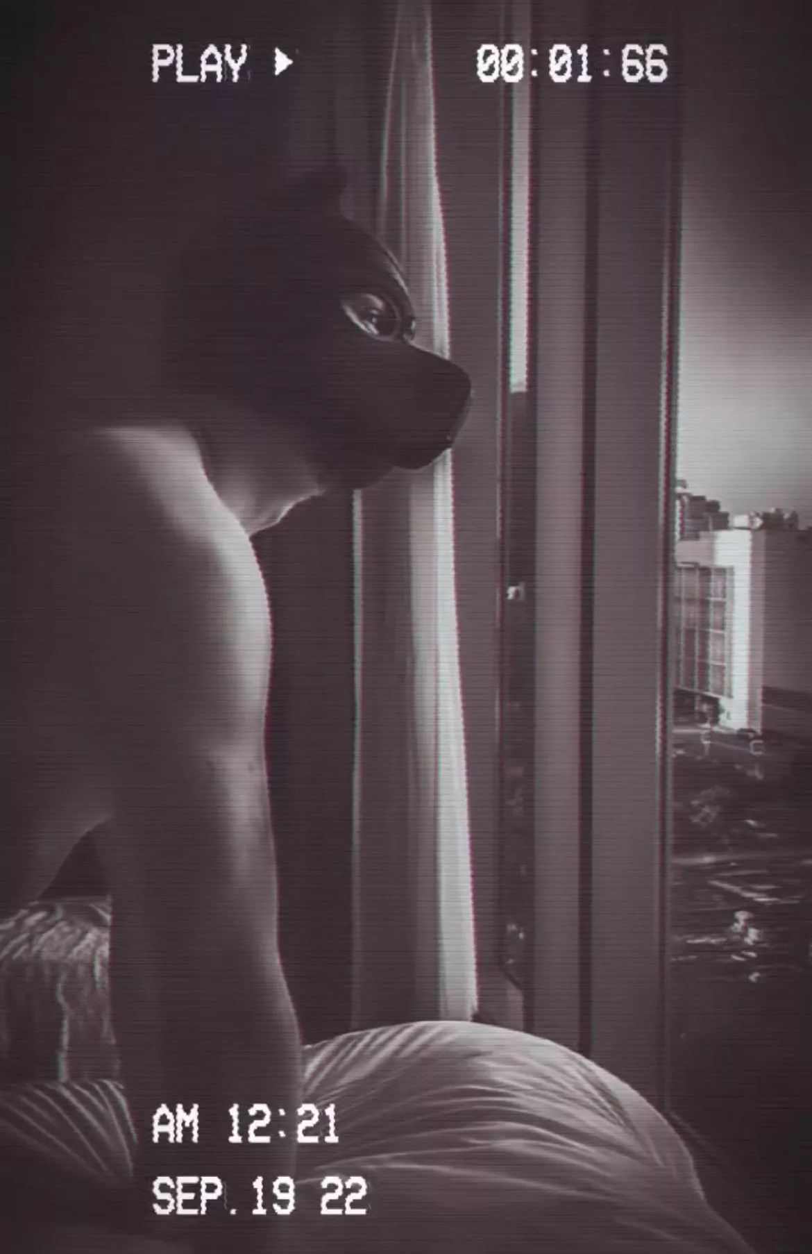 Come to my window. Crawl inside wait by the light of the moon.