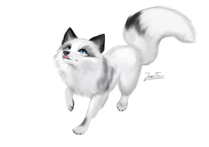 [COMMISSIONS ARE OPEN!!!] Yesterday was the National Fox day and I wanted to draw a little cute fox, I hope you like it 🦊