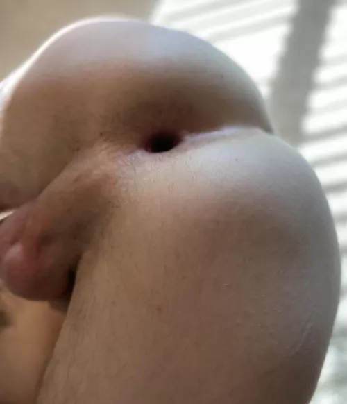 It’s open for breeding