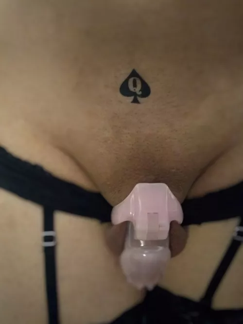 I've accepted my place ♠️