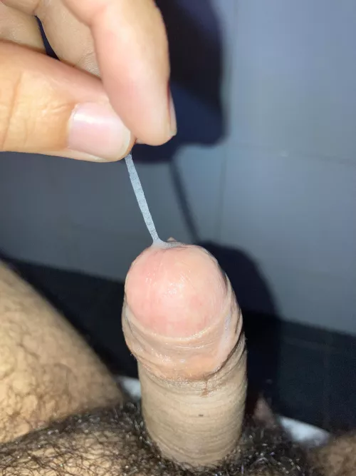 Tasty spider web here