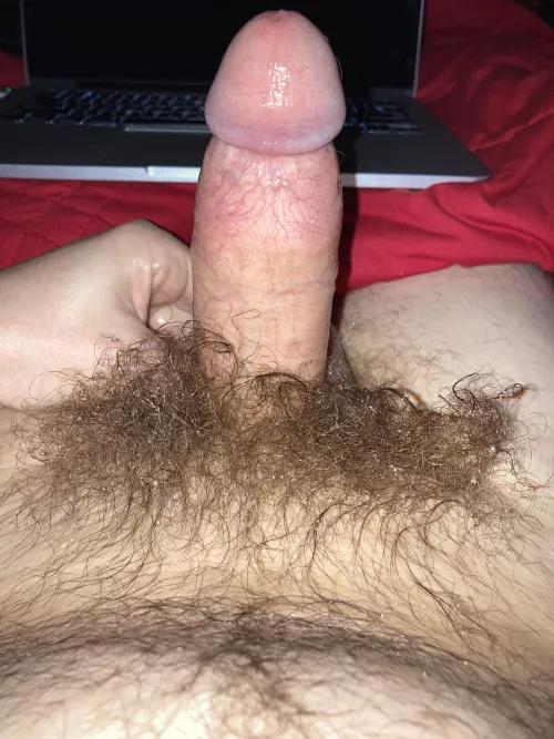Bush oiled up with coconut oil. I beat my dick off with it too