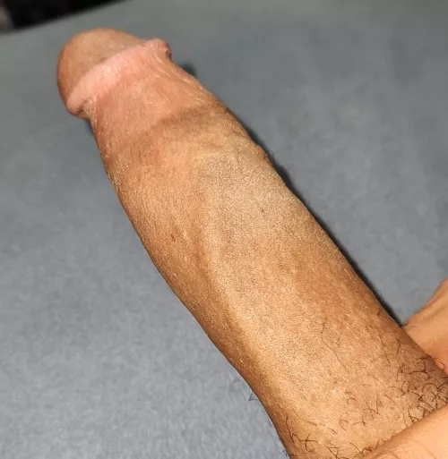 can anyone help take care of my 9 inch BBC?