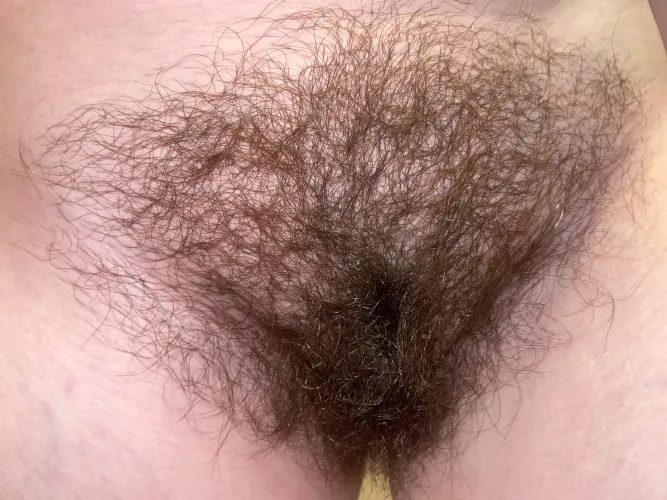 Guess how many months I’ve been growing my bush out…😏