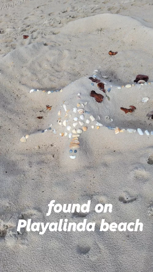 Playalinda sand turtle