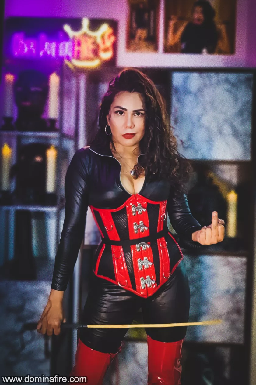 Say hello to my little friend!🖕