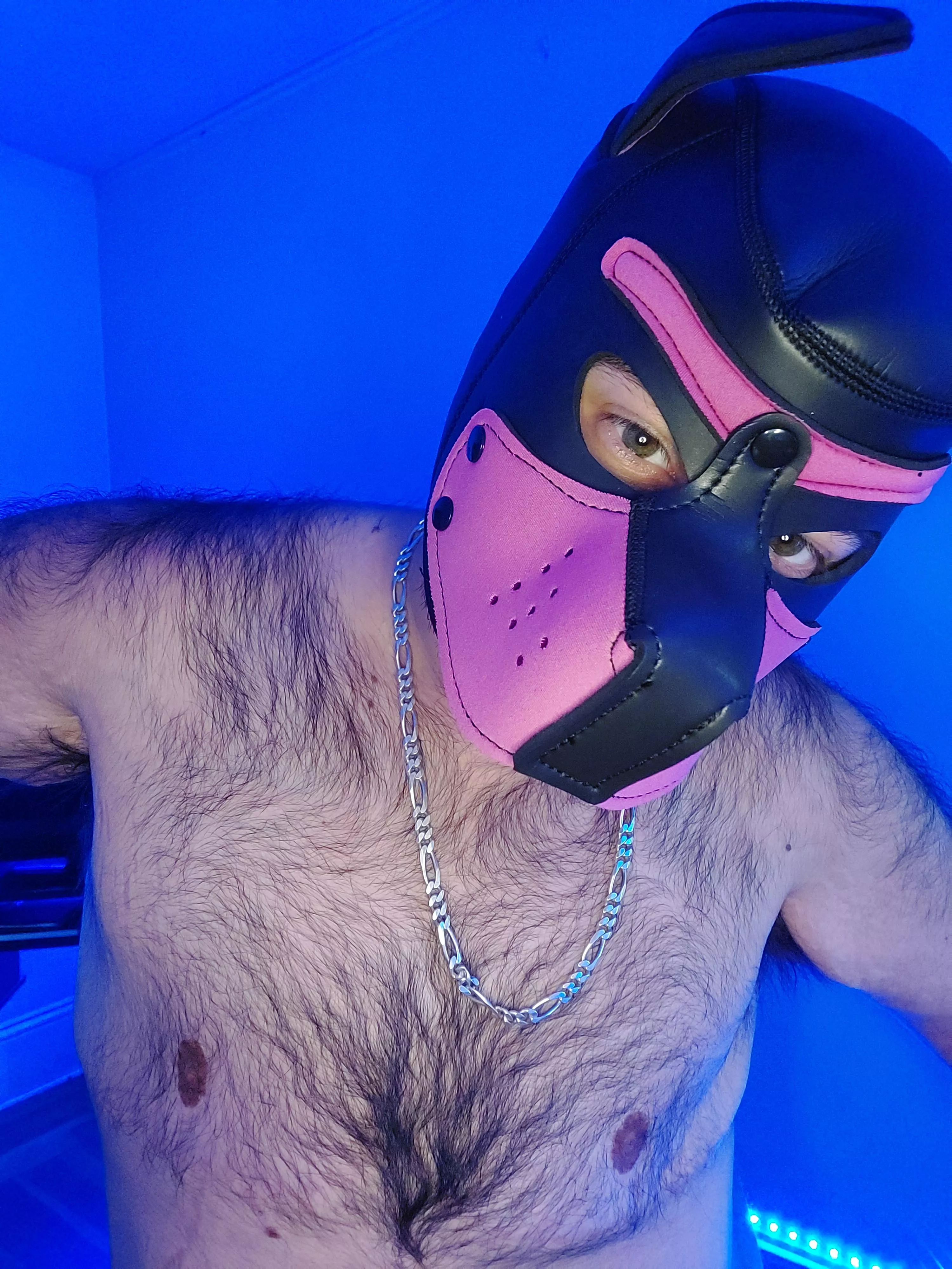 woof, good morning 🐾