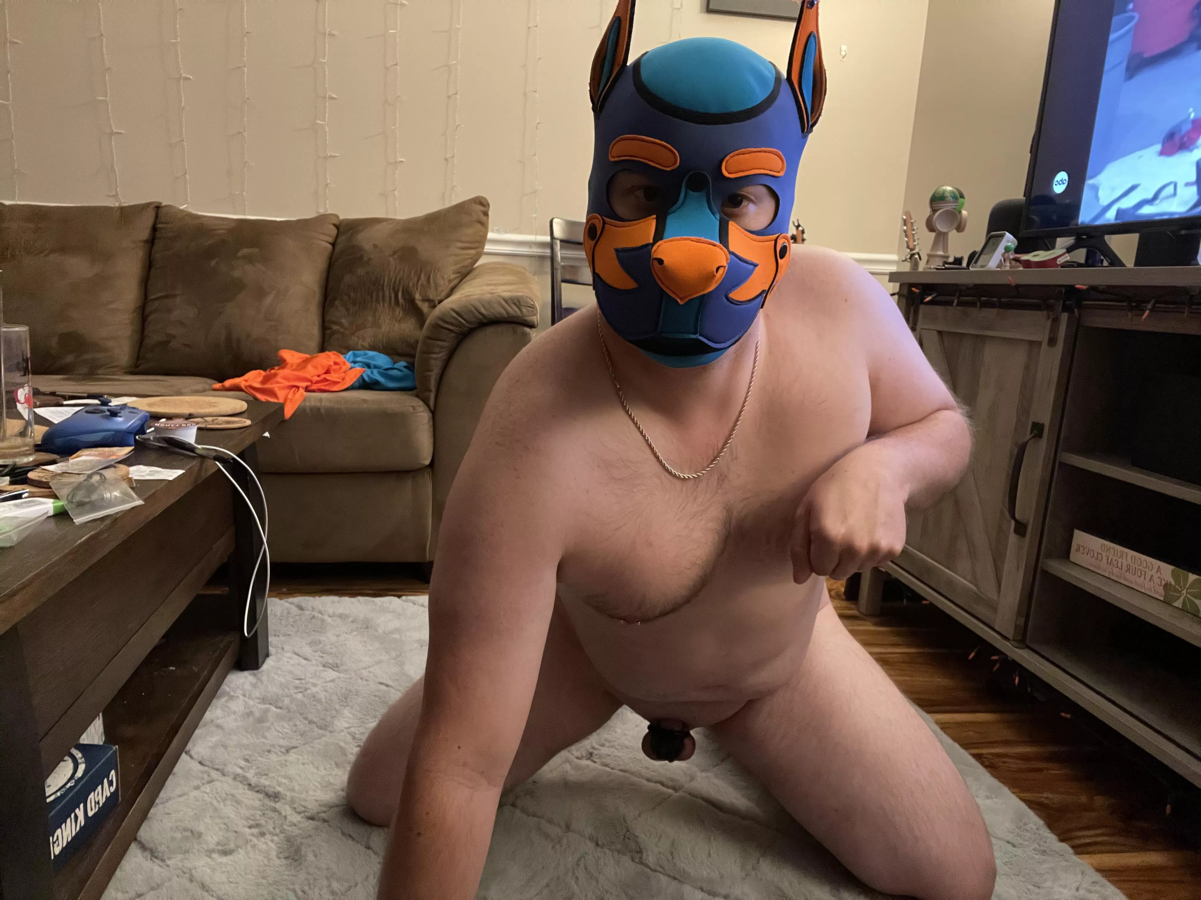 Awaroo puppy is being a good boy and practicing his poses.