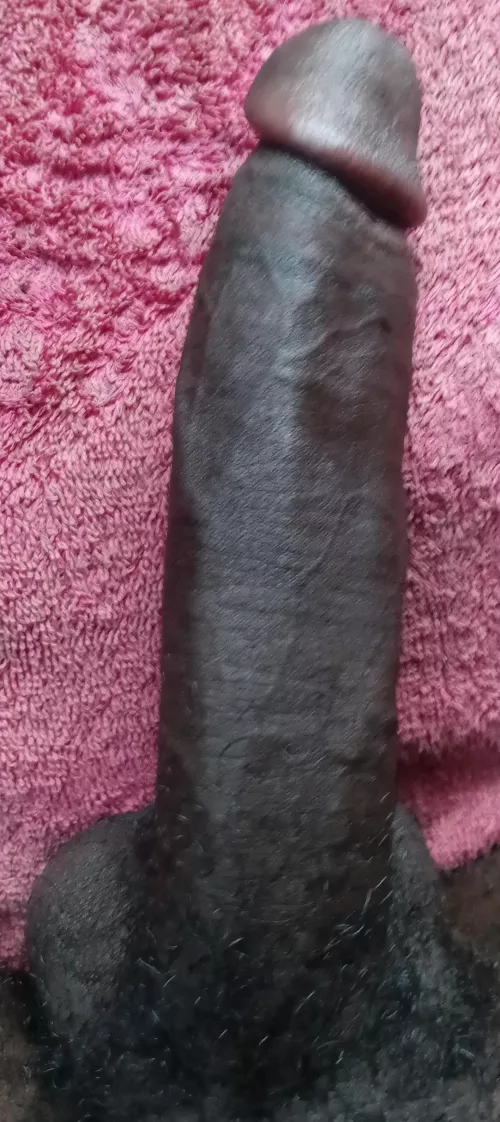 Big Black Cock