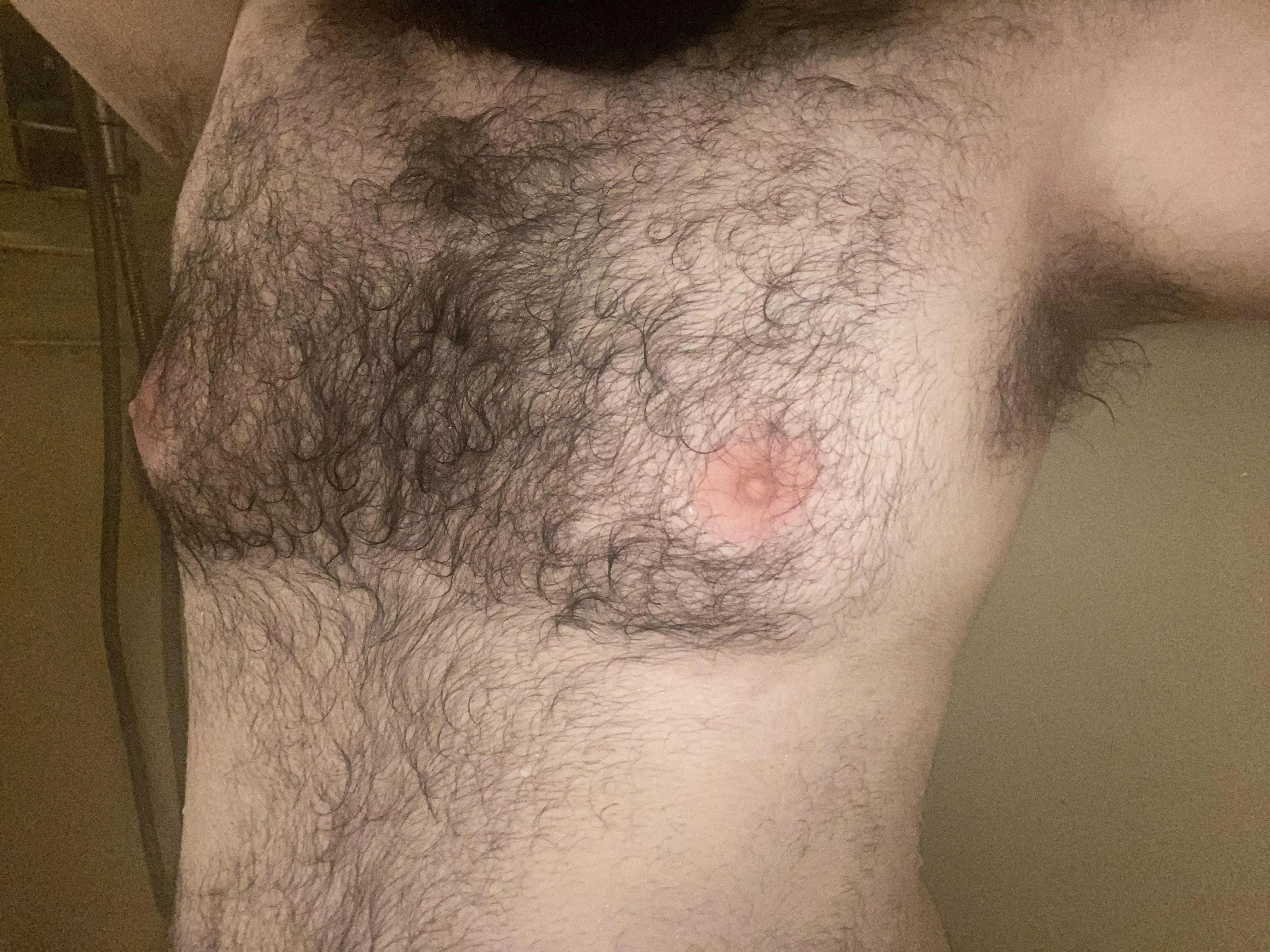 Come brush out my fur.