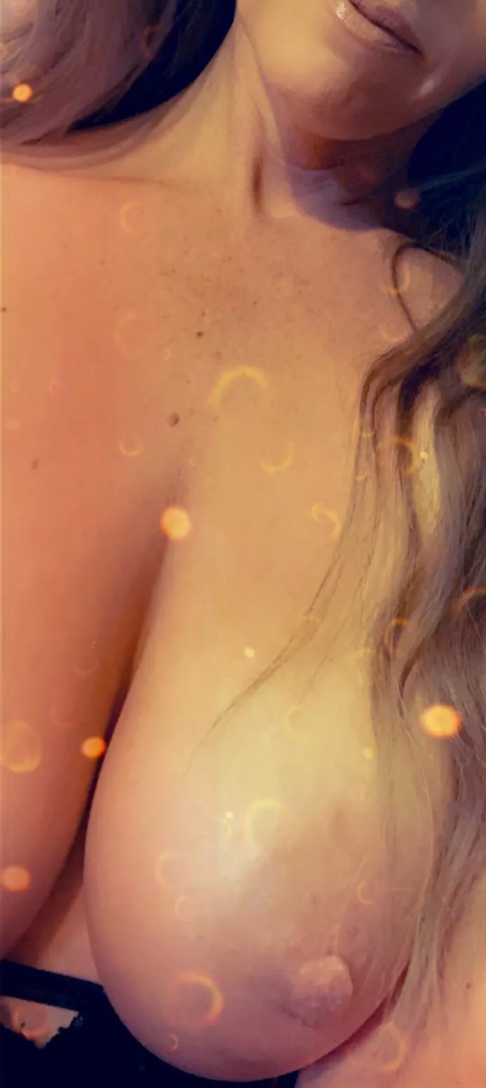 Happy ( • Y • ) Tuesday!