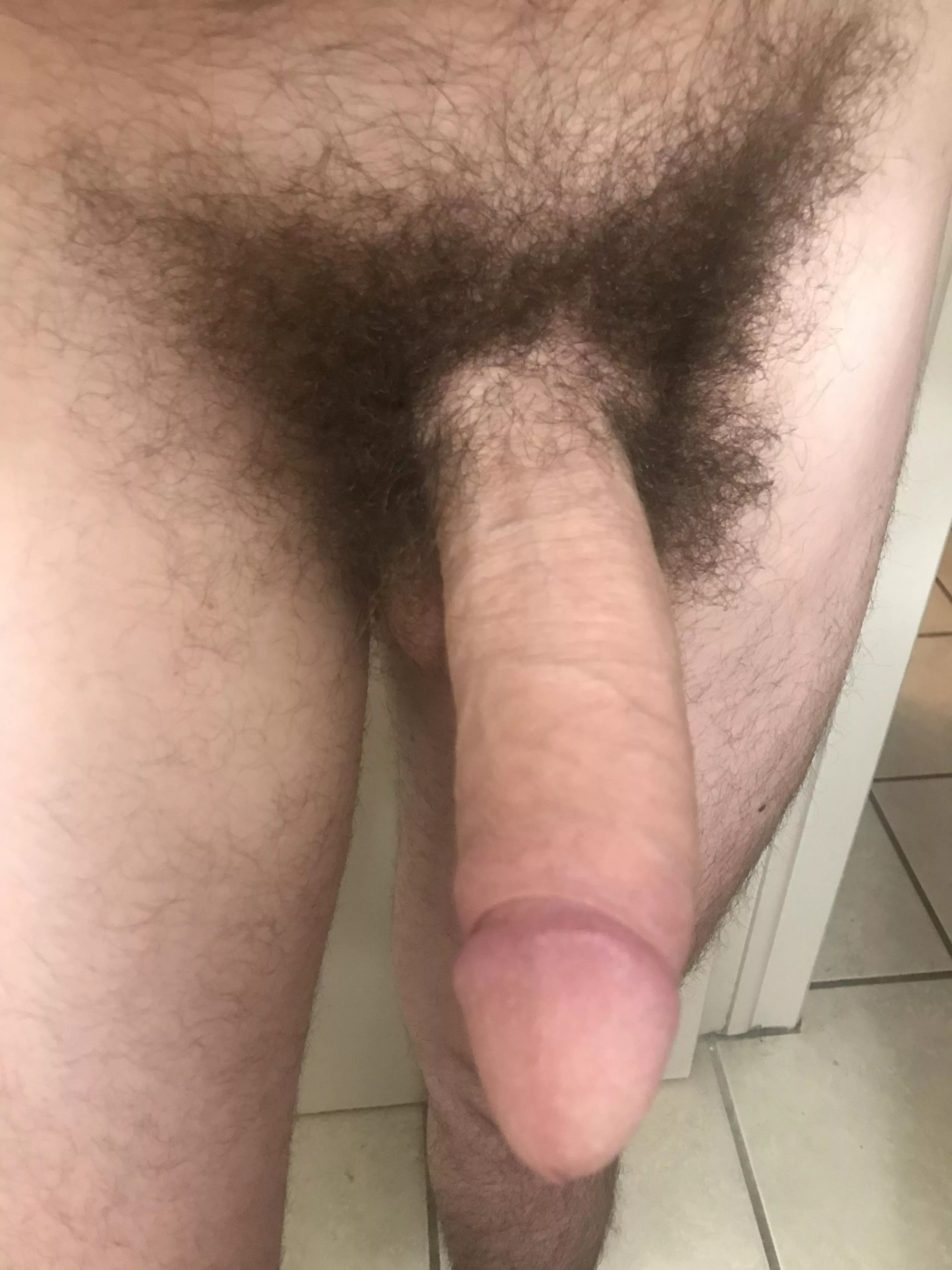 Just a big hairy dick