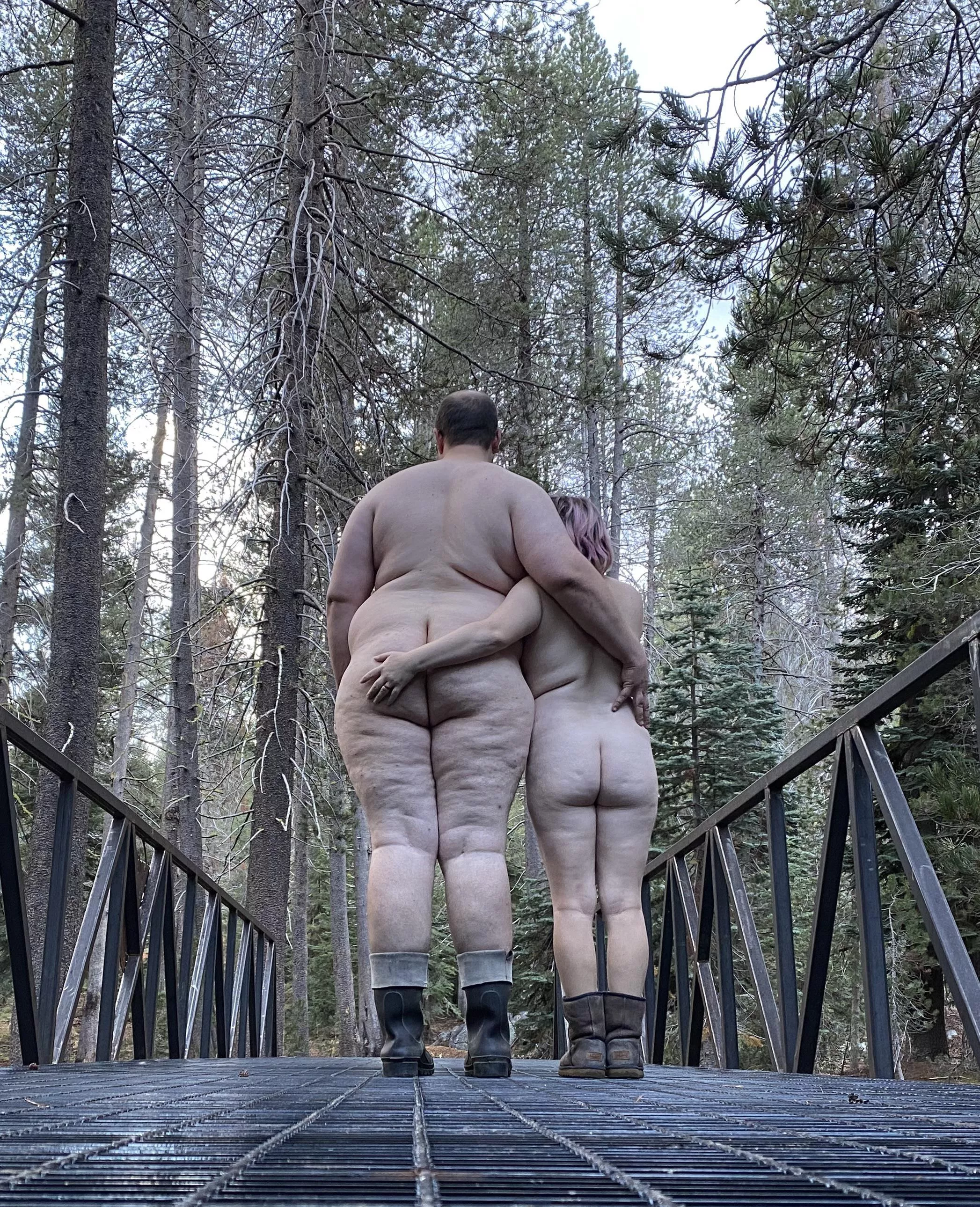 Just admiring the view of the trees together